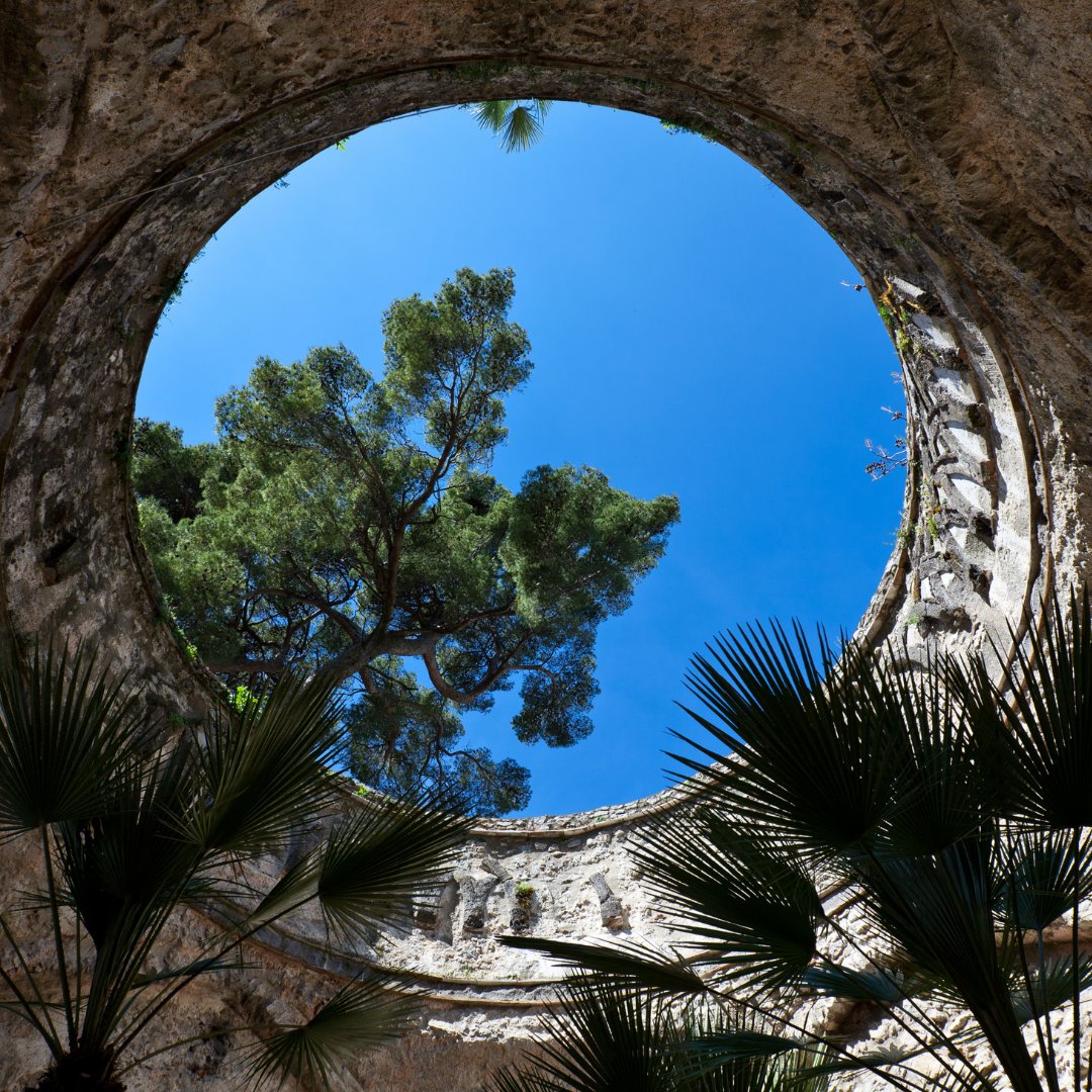 Sguardo verso l'alto attraverso un'apertura circolare in un'antica rovina romana sulla Costiera Amalfitana, con un pino marittimo mediterraneo stagliato contro il cielo