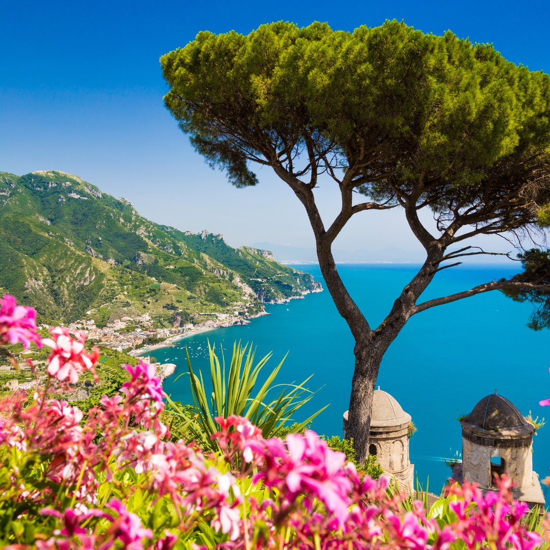 Veduta da un giardino collinare di Ravello con un pino marittimo mediterraneo che incornicia la costa sottostante e il Golfo di Salerno sullo sfondo